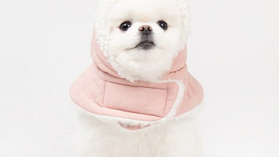 댕댕이 인생템! 득템찬스! 폭신폭신 비숑모자 후기 🐶