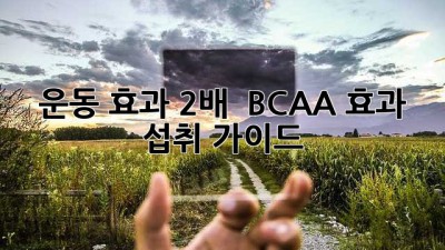 운동 효과 2배! 💪 BCAA 효과 섭취 가이드